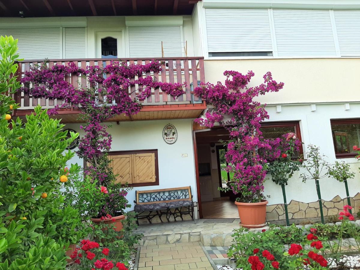 Rozsakert Vendeghaz Szigliget Exterior photo